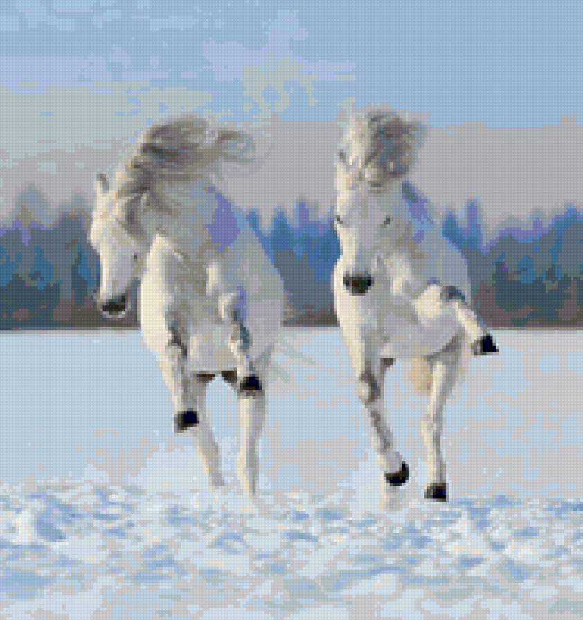 белые скакуны - белое, лошади, зима - предпросмотр
