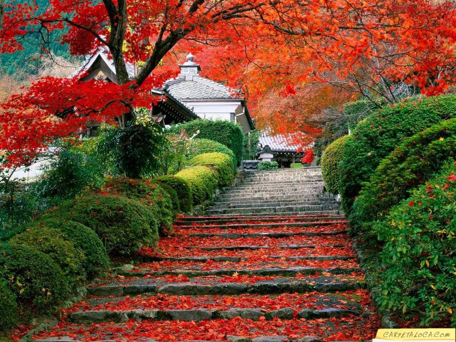 Пейзаж Японии - красота, природа, япония, пейзаж - оригинал