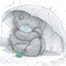 Тедди под зонтиком
