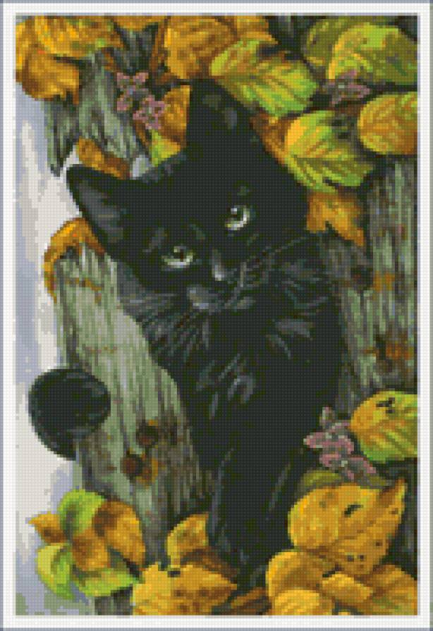 черный кот осень - черный кот осень - предпросмотр
