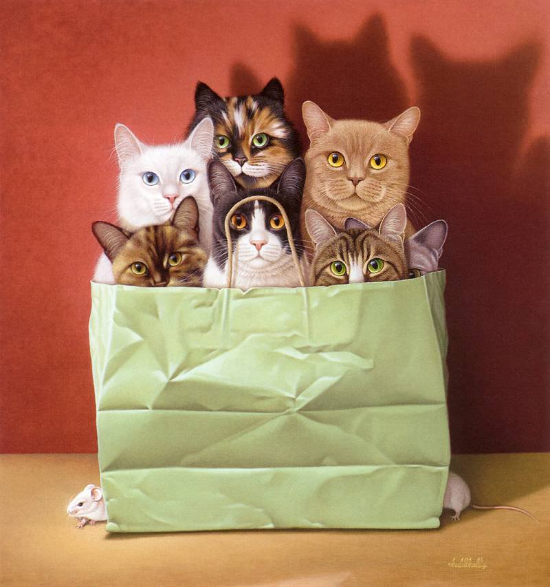 коты в пакете - кот - оригинал