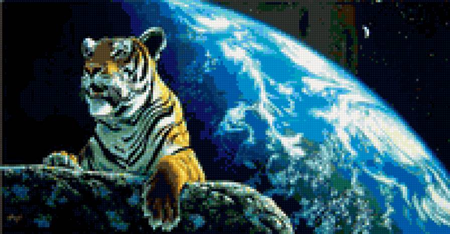 планета земля тигр - планета земля тигр - предпросмотр