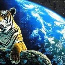 Оригинал схемы вышивки «планета земля тигр» (№142903)