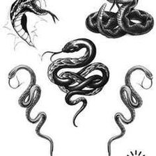 Схема вышивки «змея змеи»