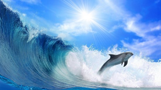 Дельфин в море - дельфин, волны, море - оригинал