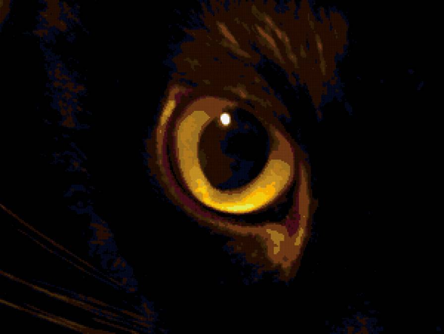 кошачий глаз - кот, глаз, кошки, животные - предпросмотр