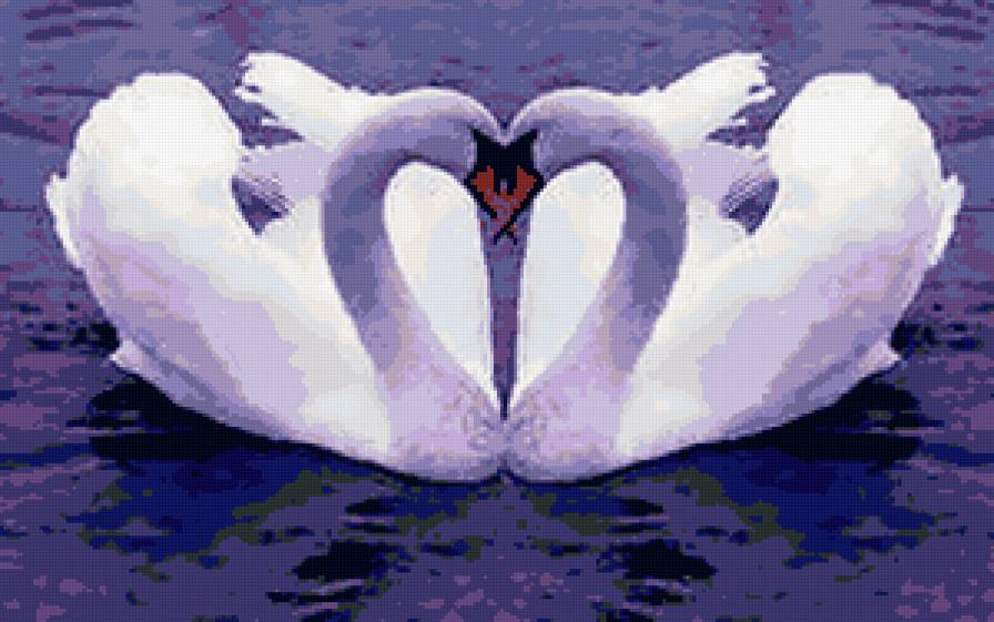Лебеди - лебеди, любовь, верность - предпросмотр