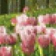 Предпросмотр схемы вышивки «Пейзаж с тюльпанами» (№143927)