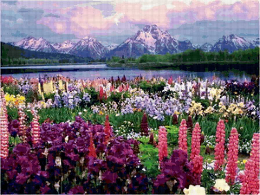 Цветочная поляна - гора, река, пейзаж, природа, цветы - предпросмотр