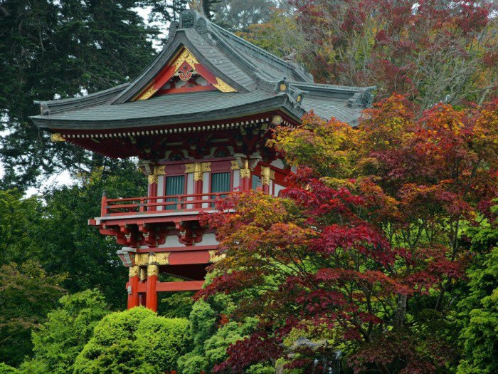 Дом для чайной церемонии - дом, япония - оригинал