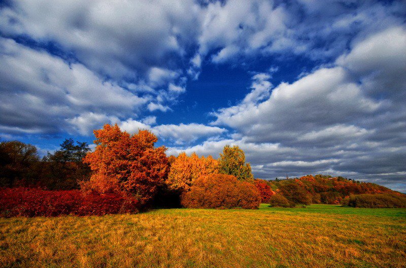 Осень - красота, природа, пейзаж, осень - оригинал
