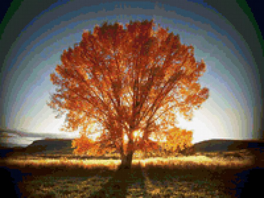Осеннее дерево - осень, пейзаж, красота, природа, дерево - предпросмотр