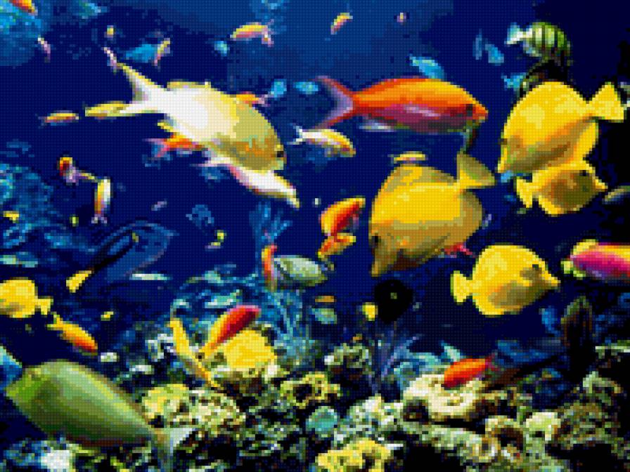 Морской свет - море, рибы - предпросмотр