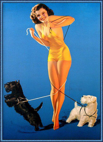 Серия "В американском стиле" - собаки, девушка, животные - оригинал
