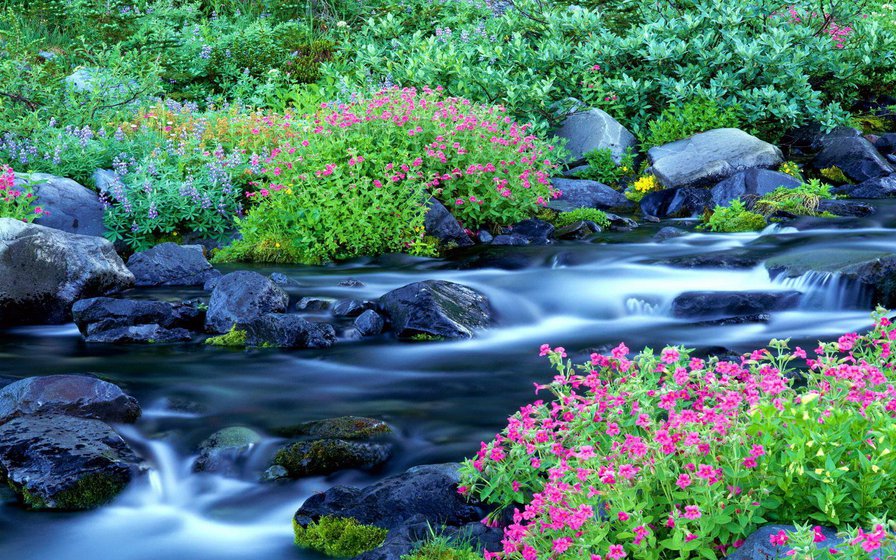 Речка - река, природа, вода - оригинал