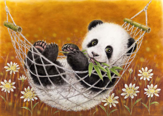 Панда - животные, живопись, панда, пейзаж - оригинал