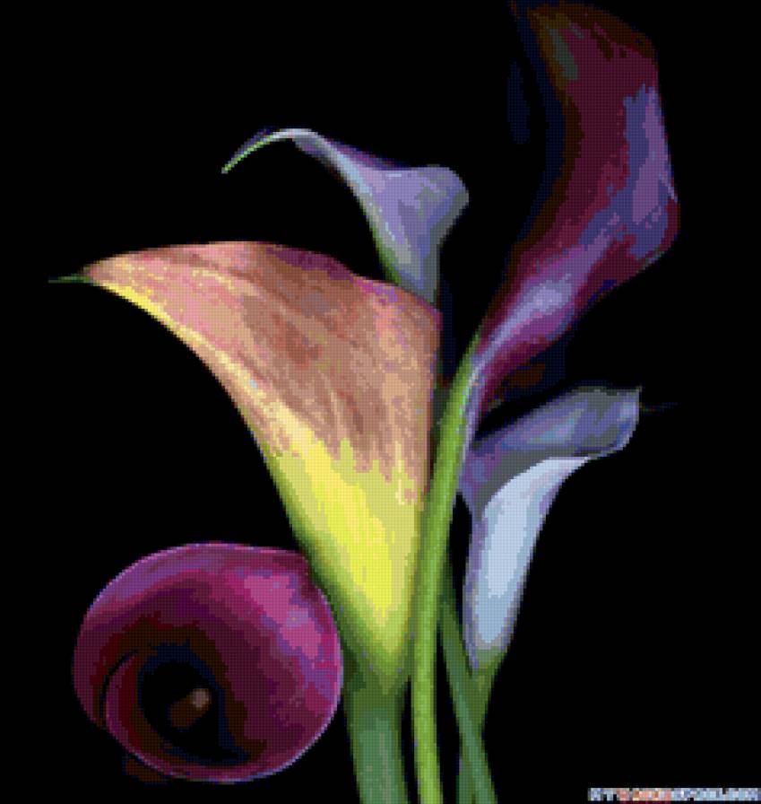 Подушка"Цветы" - живопись, цветы, подушка - предпросмотр