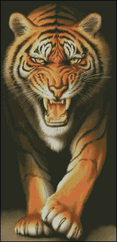 тирг - животные тигры, кошки - оригинал