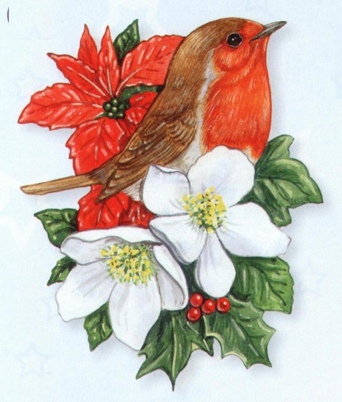 Птичка на Рождество - цветы, птицы, рождество, новый год, праздник, птичка - оригинал