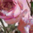 Предпросмотр схемы вышивки «roses» (№145328)