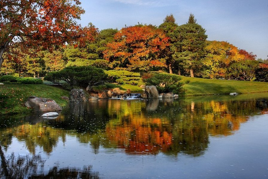 Лес - вода, красота, природа, пейзаж, осень, отражение, лес - оригинал