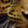 Предпросмотр схемы вышивки «леопард» (№145387)