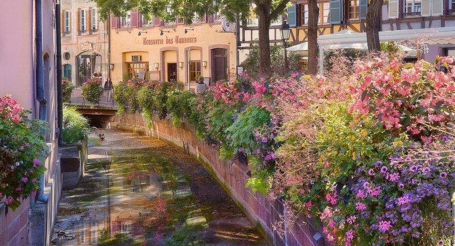 Садовая улица - городские пейзажи, мечта, красота, улица, сад - оригинал