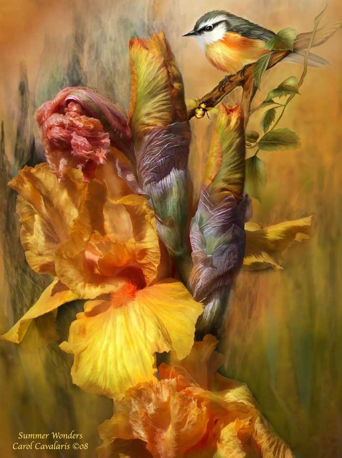 Кэрол Каваларис - цветы, птицы, красота, художники, ирисы - оригинал