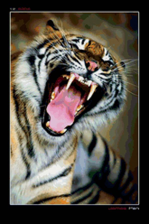 Бенгальский тигр - кошки, животные, тигр, оскал - предпросмотр