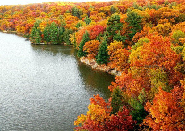 Осень - вода, красота, лес, пейзаж, отражение, природа, осень - оригинал
