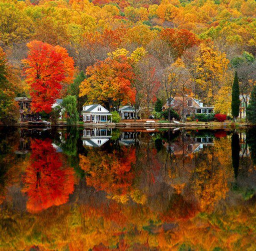 Осень - вода, отражение, красота, природа, осень, пейзаж, лес - оригинал