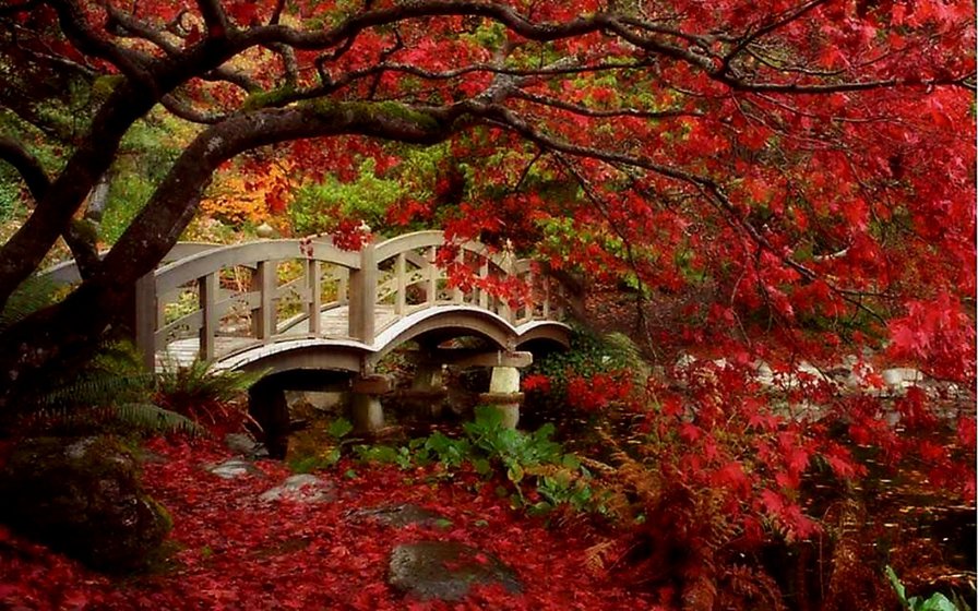 Осень - осень, красота, мост, природа, пейзаж - оригинал