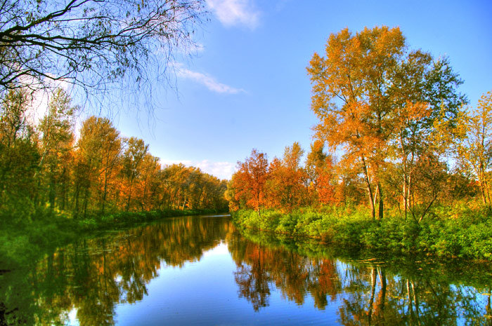 Прекрасная осень - природа, красота, пейзаж, осень - оригинал