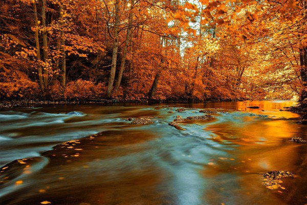 Осень - красота, пейзаж, осень, природа - оригинал