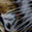 Предпросмотр схемы вышивки «Бенгальский тигр» (№146110)