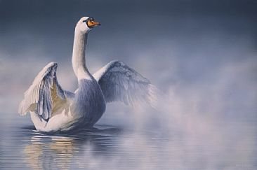 swan - оригинал
