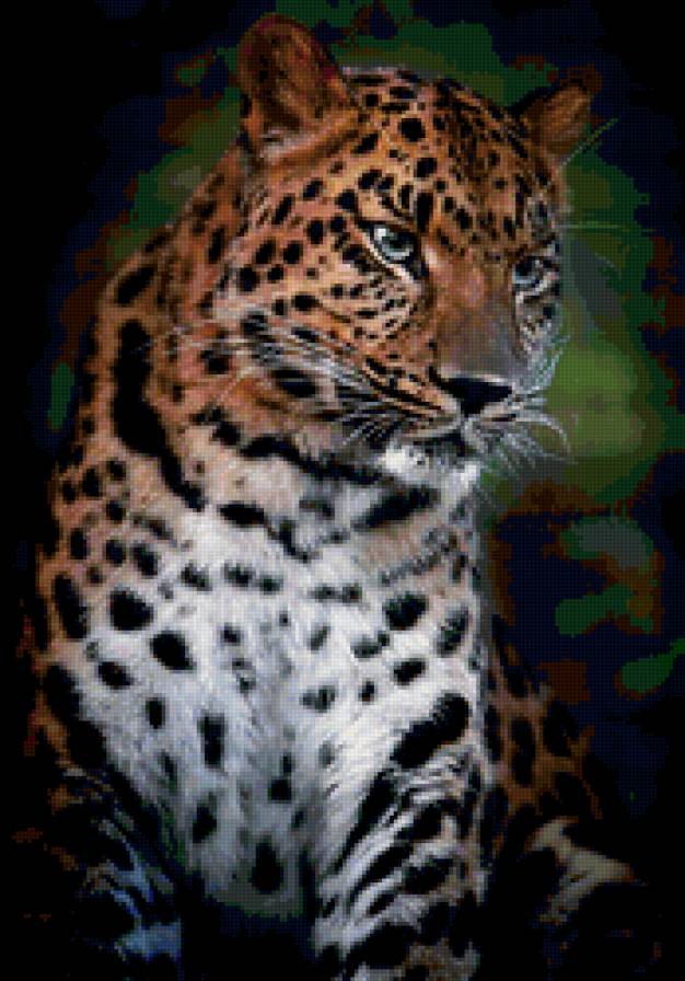 леопард - животные, леопард, кошки, хищник - предпросмотр