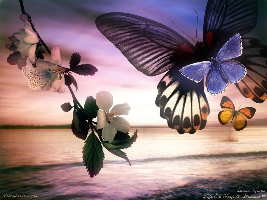 Бабочки в сумерках - бабочки, ветка - оригинал