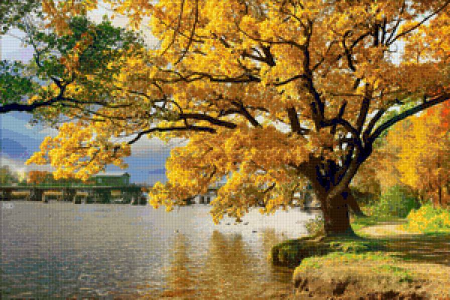 осенний пейзаж - осень, природа, пейзаж, озеро, лес - предпросмотр