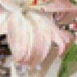 Предпросмотр схемы вышивки «flowers» (№146839)