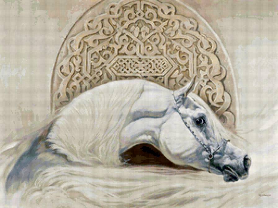 Арабский скакун - лошади - предпросмотр