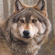 Оригинал схемы вышивки «волк» (№147183)