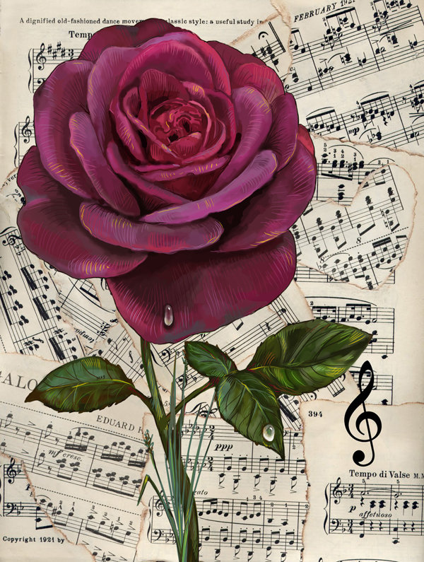 роза - цветы, розы, живопись, ноты, цветок, музыка, капля - оригинал