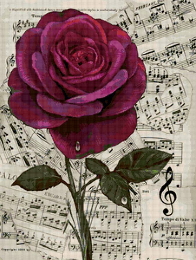 роза - розы, живопись, цветы, музыка, капля, цветок, ноты - предпросмотр