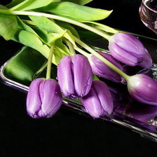 Схема вышивки «тюльпаны на подносе»