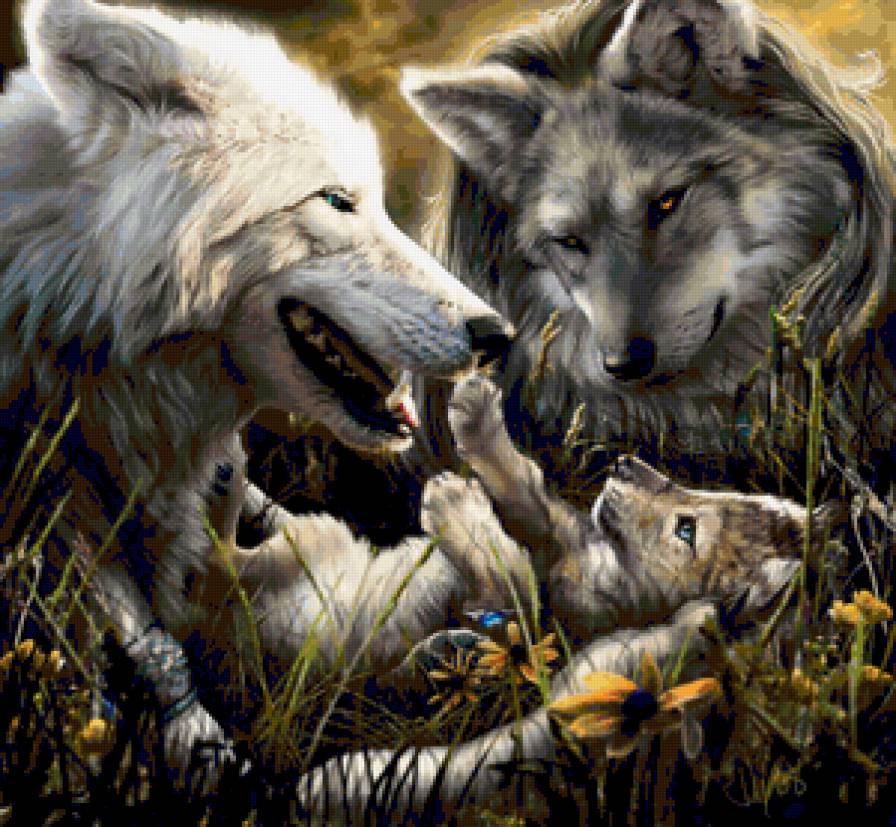 волчья семья - волки, звери - предпросмотр