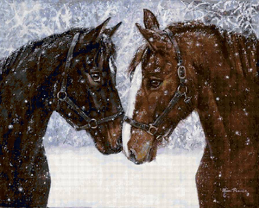 лошадки - зима, животные, снег, кони, лошади, лошадь, любовь - предпросмотр