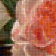 Предпросмотр схемы вышивки «Натюрморт,розы» (№148084)