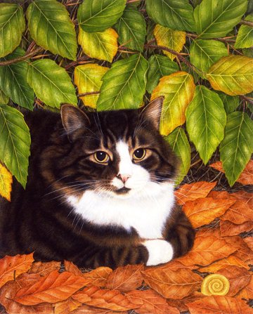 Осенний кот - животные, кошка, кот - оригинал