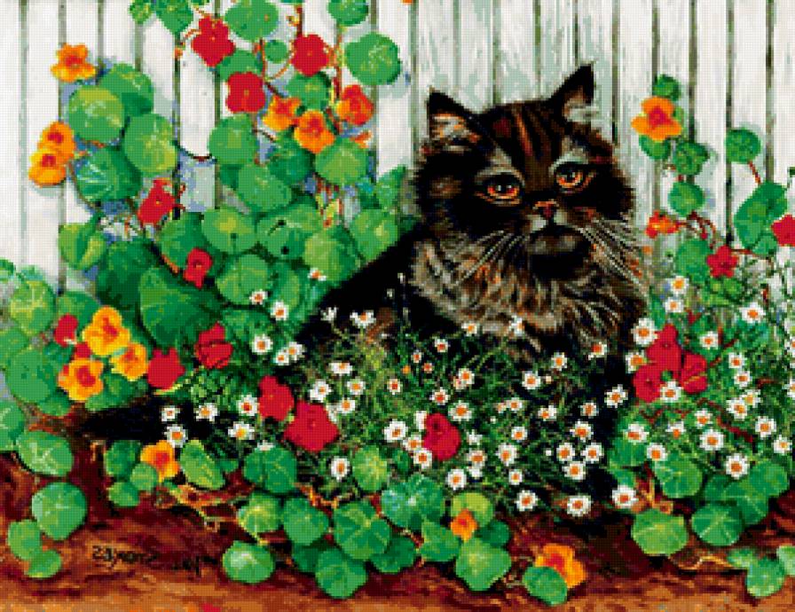 Чернышка - цветы, животные, кот, кошка - предпросмотр